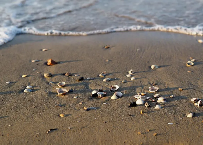 Smart Apartment-beahost Bibione